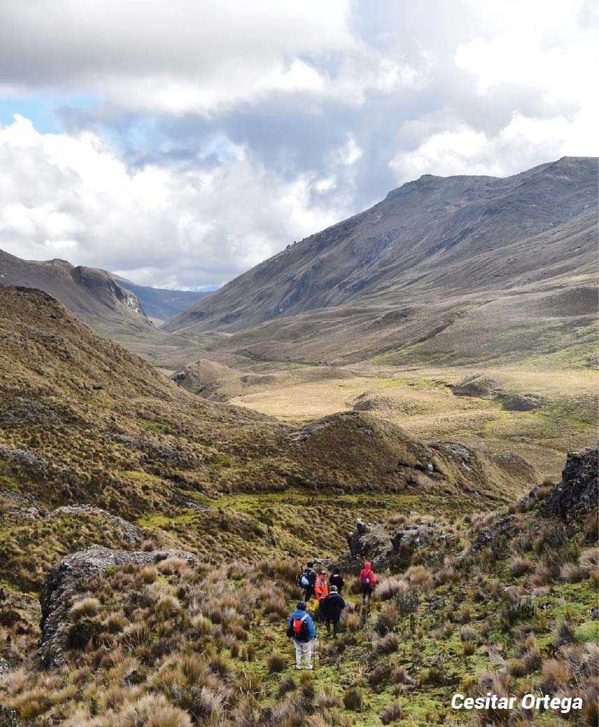 Qhapaq Ñan Camino Del Inca